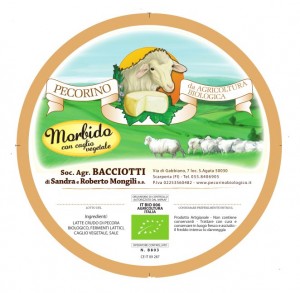 Pecorino_BACCIOTTI_2014_MORBIDO